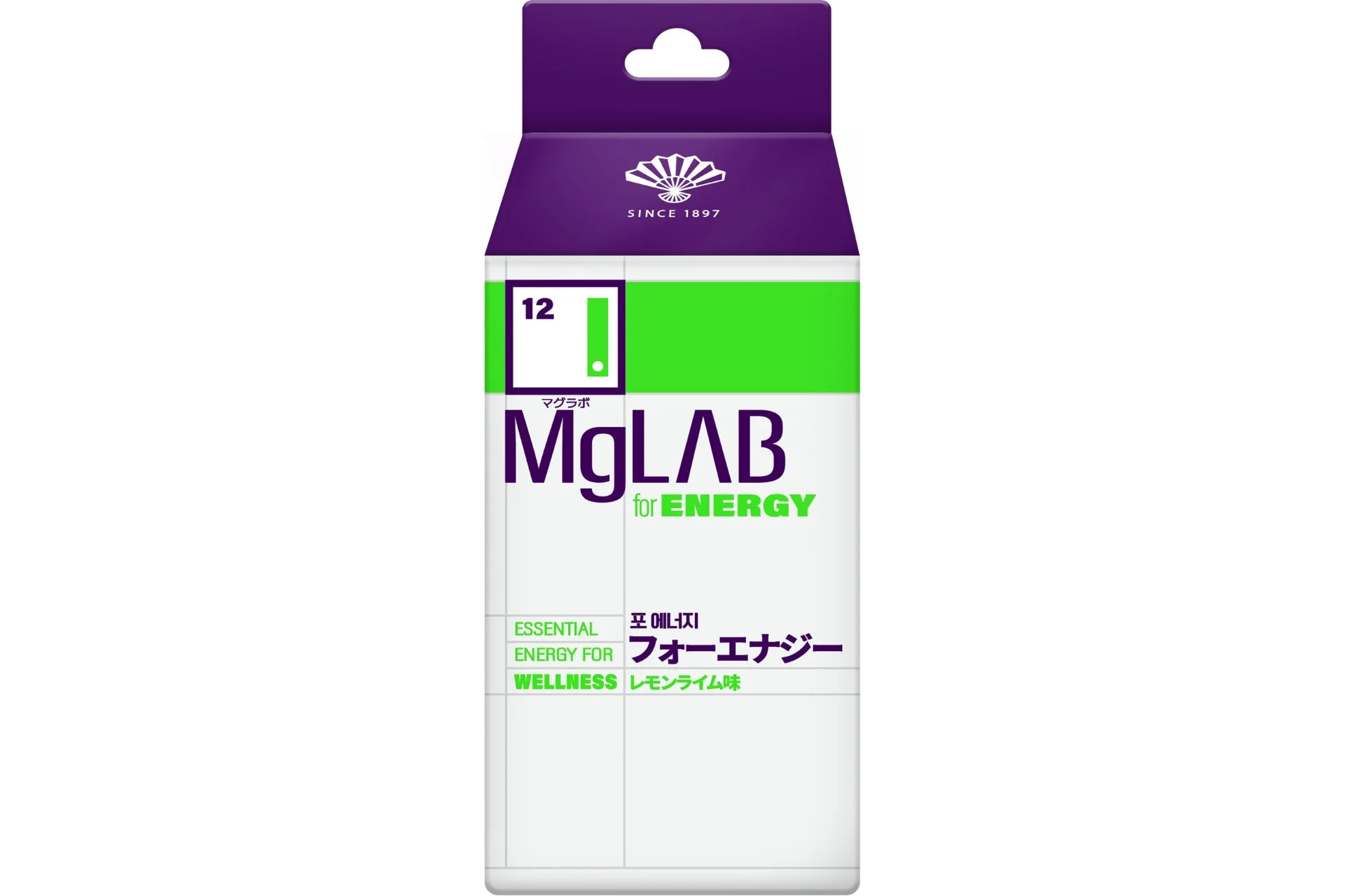 MgLAB for ENERGY 2本