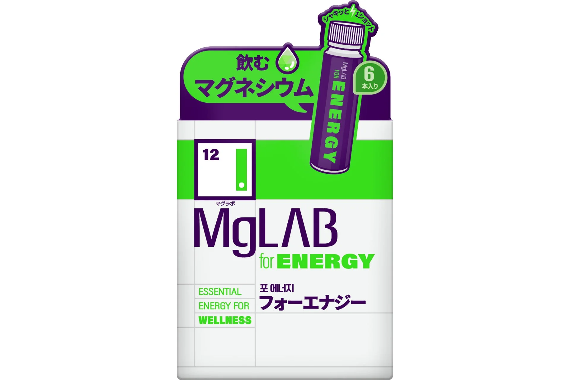 MgLAB for ENERGY 6本