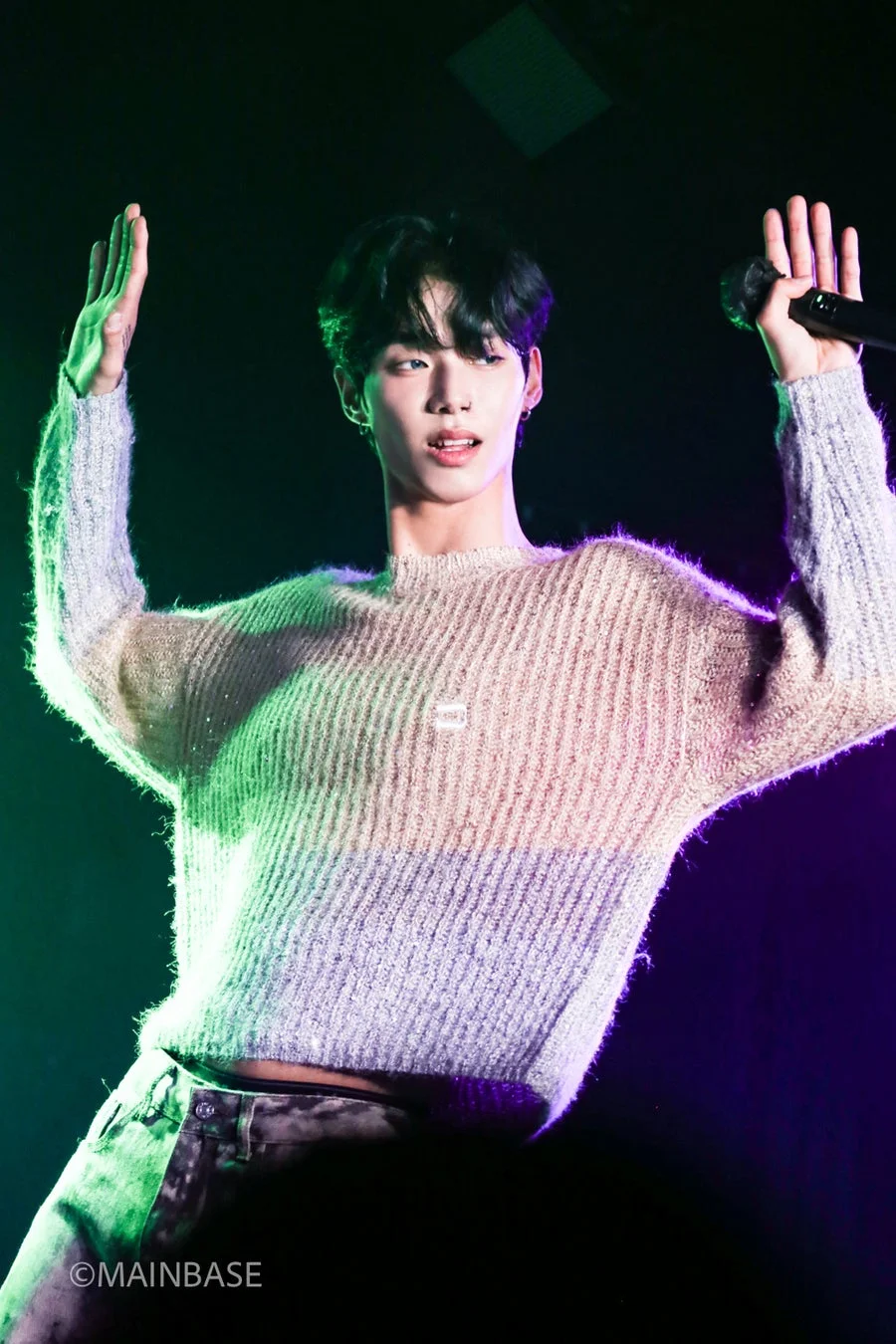 緑と紫の照明が当たるステージでパフォーマンスを行う若い男性の姿。マイクを片手に持ち、もう一方の手を挙げており、観客と一体となるライブの熱気が伝わってきます。