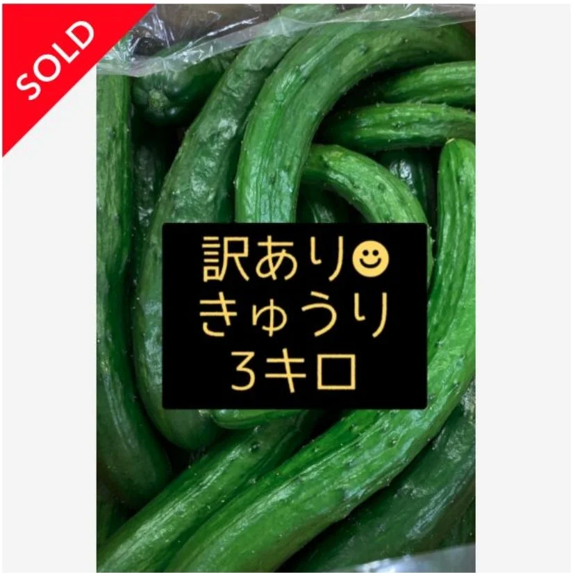 訳ありきゅうり