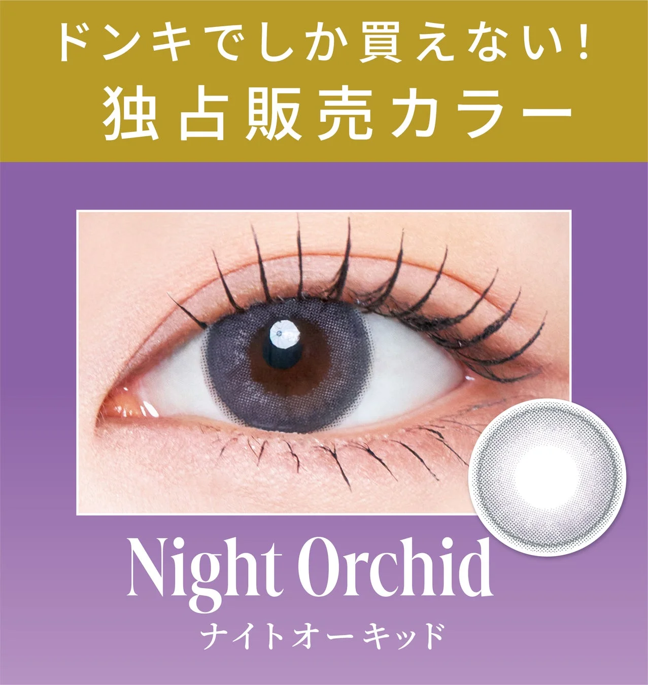 ドンキでしか買えない！独占販売カラー ナイトオーキッド