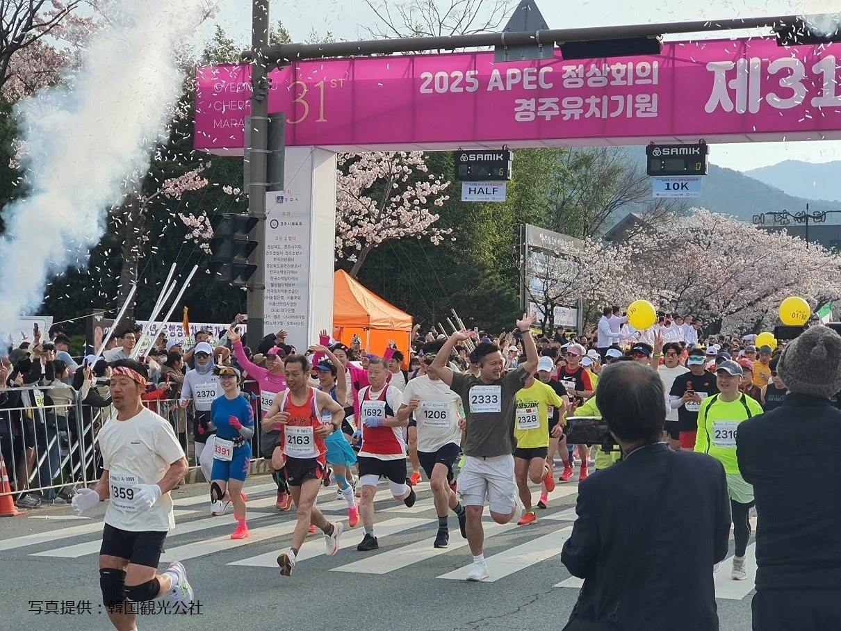 慶州さくらマラソン大会の様子